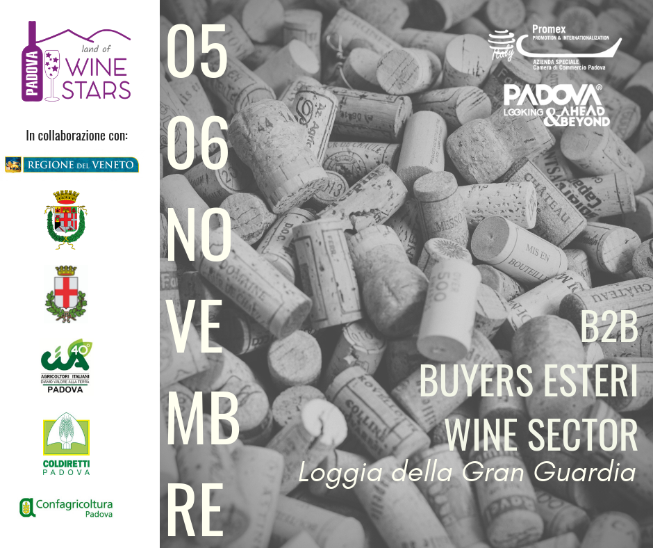 Incoming Buyer settore vitivinicolo⭐🍇🥂 (Padova, 5-6 novembre 2018)
