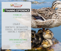 T.E. "Contratti infragruppo, service, distribuzione, sharing e royalty." (Padova, 29 ottobre 2019)