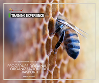 T.E.w. Procedure doganali e organizzazione dei trasporti (22 - 24.09.20)